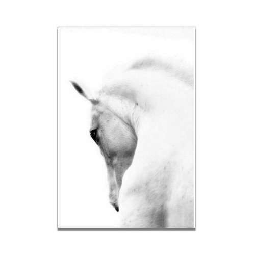 Animal White Horse Canvas Art Print Poster Living Room Wall Picture Modern Decor - Picture 17 of 17