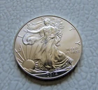 2014 Walking Liberty 1 oz American Eagle .999 Silver Dollar Coin