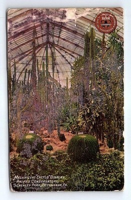Flower Show Phipps Conservatory Pittsburgh Pennsylvania Postcard
