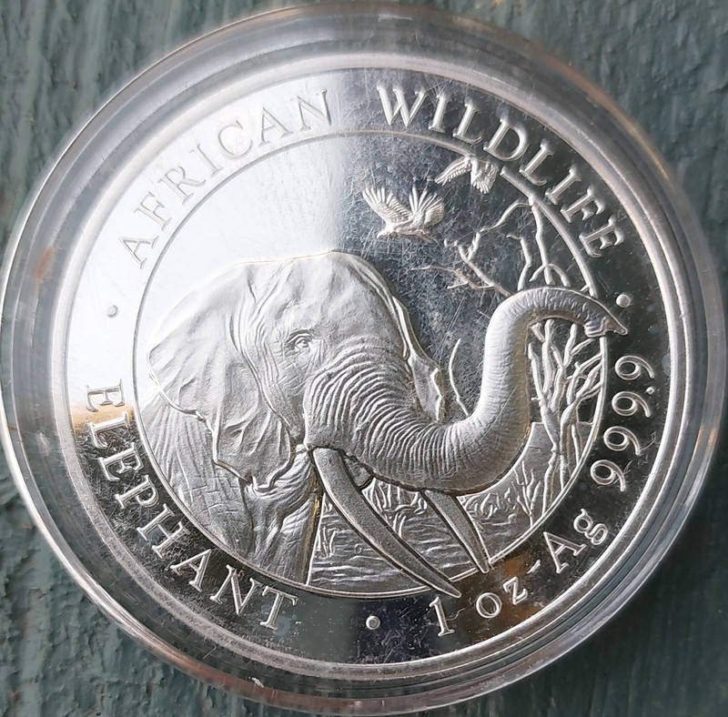 2018 Somalia African Wildlife Elephant 100 Shillings 1 oz .999 Silver Coin