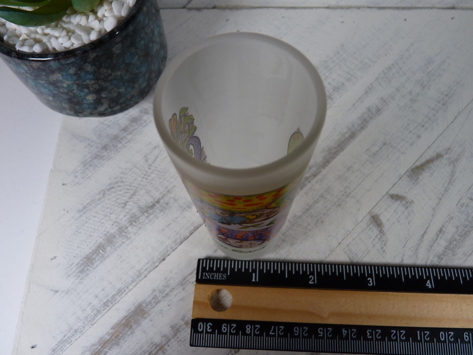 Biloxi Beach, Mississippi Colorful Lizards Frosted Tall Shot Glass - N1