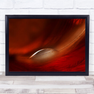 Tropfen rot Makro Feder weich Wassertropfen Bokeh Weichschärfe Wandkunstdruck