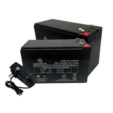 Razor Scooter E300S Battery and Charger Kit, Fits E300 and Razor E325 Models