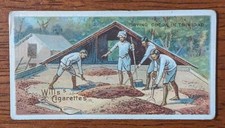 1913 Wills Capstan Cigarette Card Empire Series #25 Drying Cocoa In Trinidad 