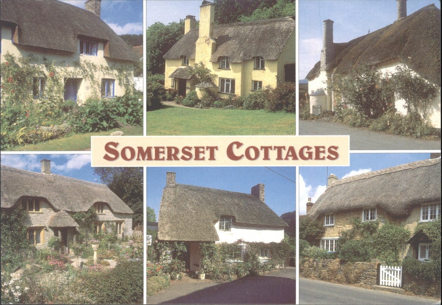 Salmon Cameracolour Postcard Somerset Cottages Thatched England