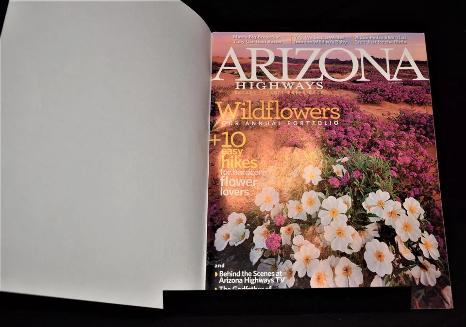 Vintage Arizona Highways Magazine - Wildflowers Our Annual Portfolio~ March 2009 - Image 2 of 4