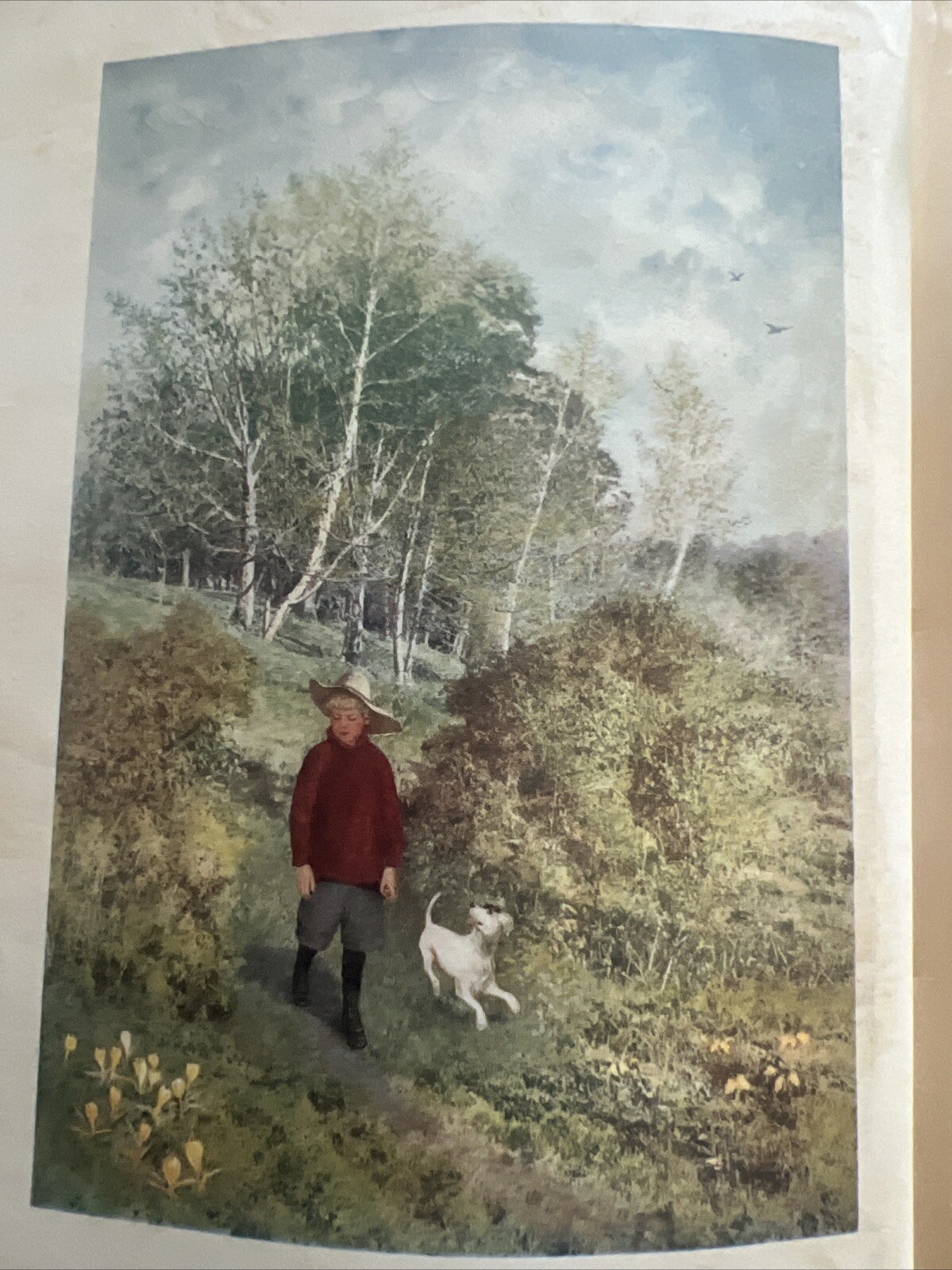 Picture 4 of 16