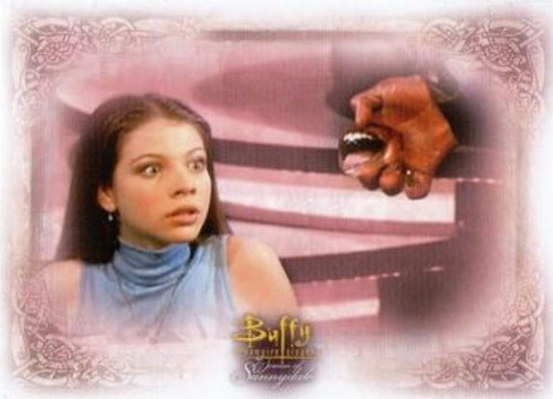 Buffy the Vampire Slayer - WOMEN OF SUNNYDALE - single trading cards - Picture 100 of 192