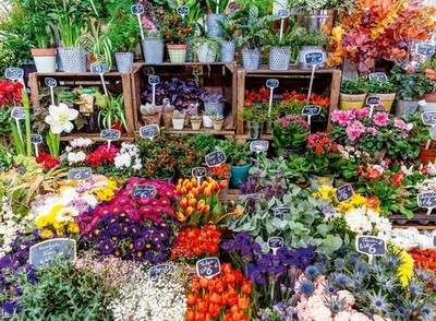 Ravensburger 500 Piece Jigsaw Puzzle   Flower Market, France   Colourful Market