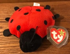 Ty Lucky The Ladybug Beanie Baby 1995 Style 4040 ~ PVC Pellets, 10 Spots