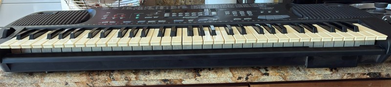 TECHNICS SX-KN501 DIGITAL 61 KEY PIANO W/MIDI