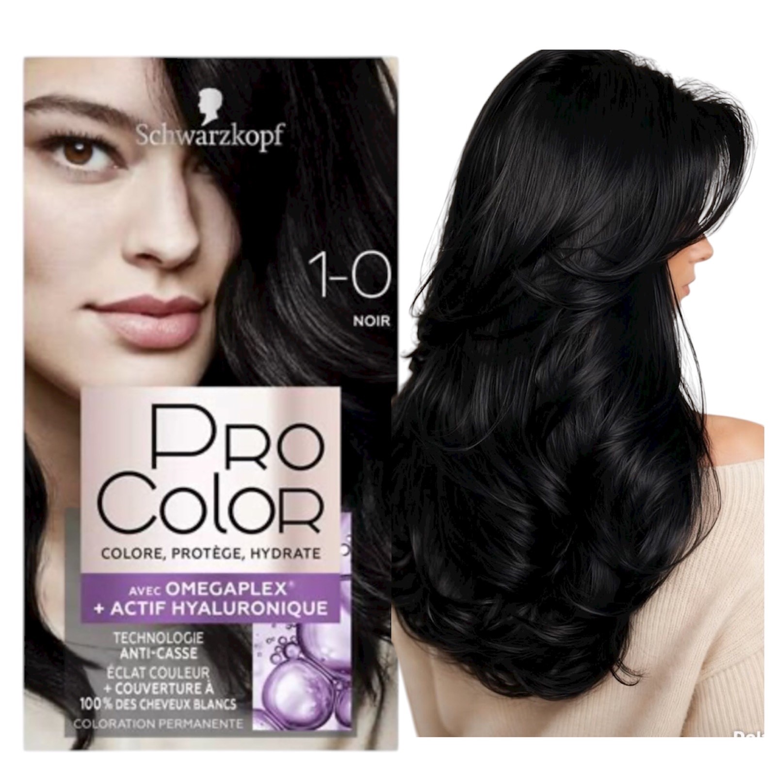 Coloration noir 1-0 Schwarzkopf Pro Color couverture parfaite cheveux blancs