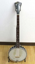 Fender Allegro 05412 Banjo
