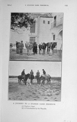 Original alter antiker Druck 1914 Spanisches Wildreservat Pferde Baily'S Foto