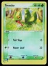 Pokemon Card - Treecko Nintendo Black Star Promos 003 Promo Reverse Holo
