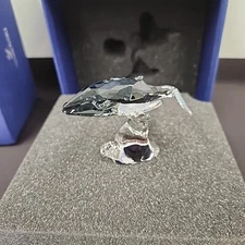 Swarovski Crystal SCS Figurine In Box Young Whale