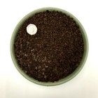 Picture 4 of 19