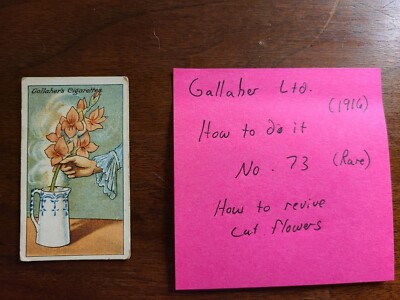 (1916) Gallaher Ltd. HOW TO DO IT #3 How to Revive Cut Flowers Tobacco Cards 