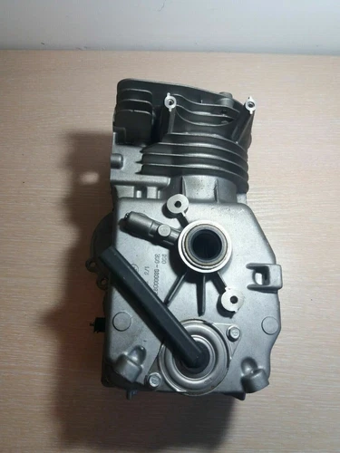 OEM Genuine Engine BV BVL 173 66.6mm Tecumseh 15810011