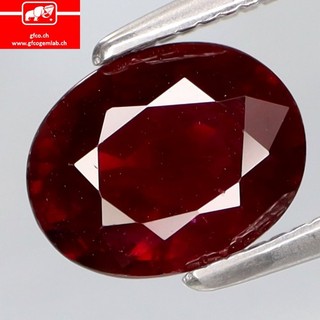 1.47Cts.GRATIS! Certificato Museo Gemma Sangue di Piccione Naturale Rosso Rubino Normale Riscaldato
