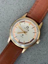 Titus Deluxe Waterproof Men's Watch Gold Filled