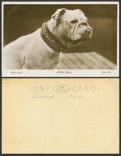 Bulldog Bull Collar de Perro John Bull Antigua Foto Real Postal Cachorro Mascota Animal W & K
