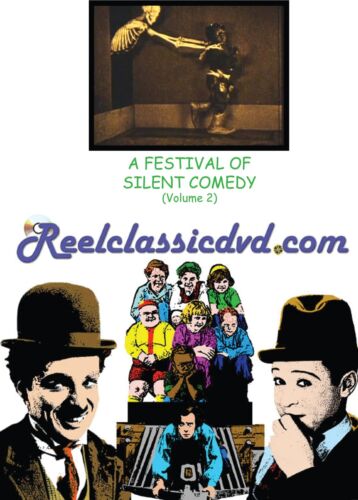 A FESTIVAL OF SILENT COMEDY (VOLUME 2) (DVD) (US IMPORT) - Afbeelding 1 van 1