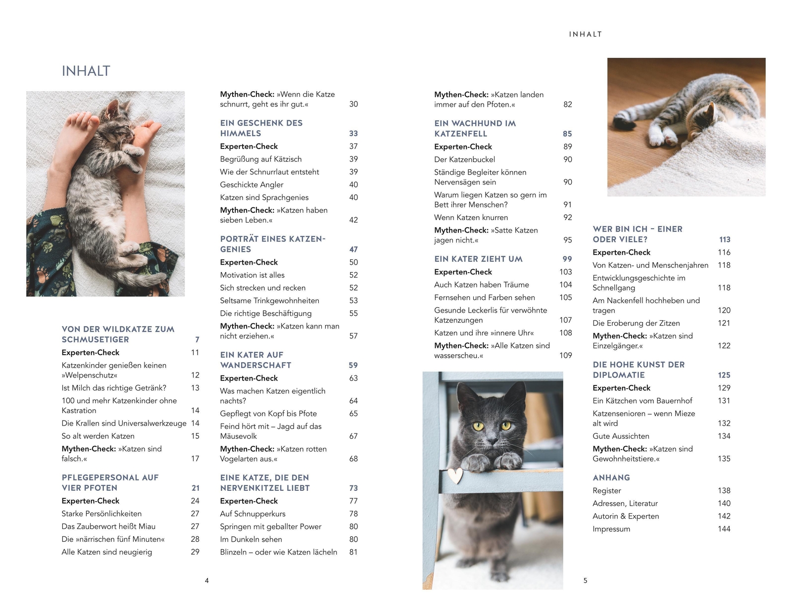 Thumbnail - Gabriele Linke-grün | Die Unglaublichen Fähigkeiten Der Katze | Buch |