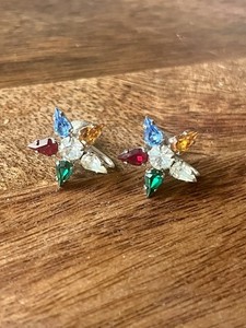 Antique Silver Multi Rhinestone Order of Eastern Star Screw Back Earrings