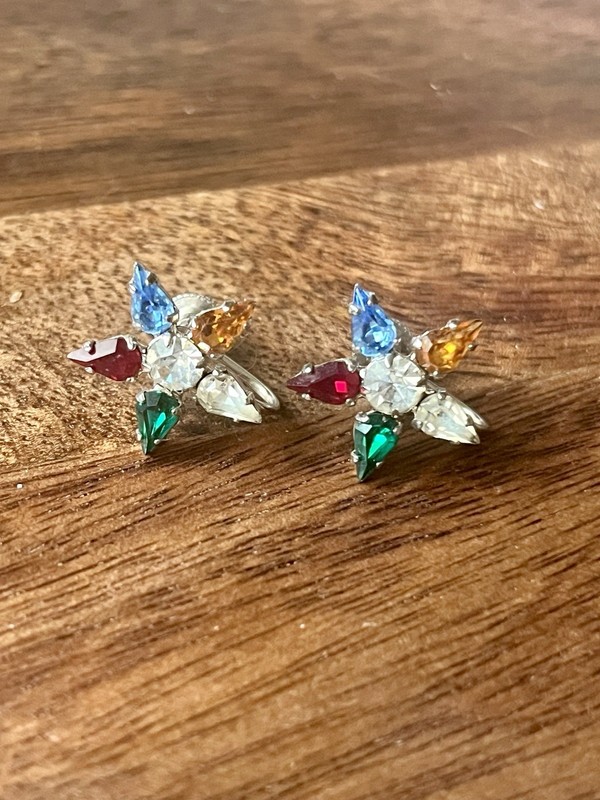 Antique Silver Multi Rhinestone Order of Eastern Star Screw Back Earrings