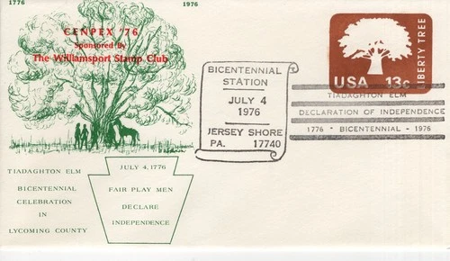 TIADAGHTON ELM BICENTENNIAL CELEBRATION,  JERSEY SHORE, PA  1976  FDC20485