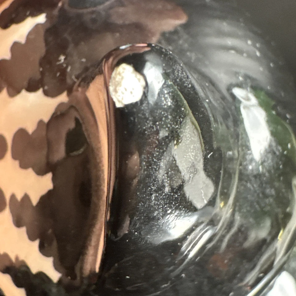 B. KLIBAN Gato atigrado en sombrero negro por SIGMA Tastesetter tarro de galletas caramelo beso Foto 3 de 4