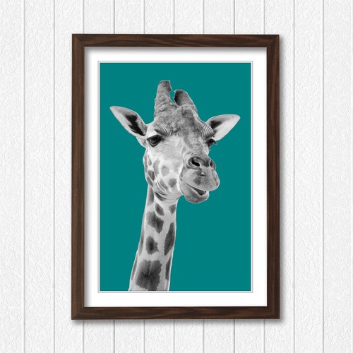 GIRAFFE BLACK AND WHITE TEAL FRAMED POSTER WALL ART PRINT ARTWORK DESIGN - Picture 6 of 14