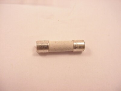 BKI Rotisserie Fuse BKI F0394 8 amp 250 Volt  Ships the Same Day