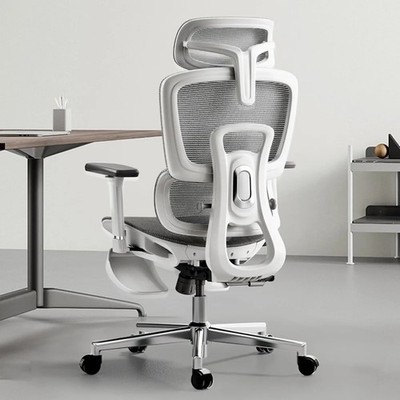 FlexComfort Pro Ergonomic Chair   Support That Moves With You   