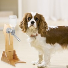 Distributeur D'eau Pour Animaux De Compagnie Dispensateur Chiens