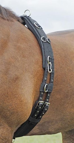 BUSSE WB Longiergurt Profi-Soft