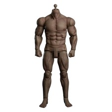 Male Muscular Body 1/6 Scale for 12 inch Collectible Action Figure Soldier Toys.