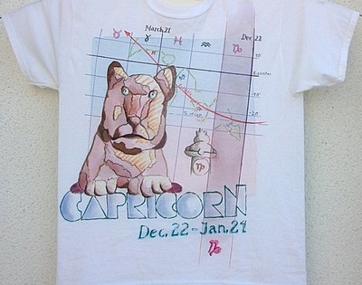 STEINBOCK  T-Shirt, Größe M, Fruit o. th. Loom, Motiv:  CAPRICORN