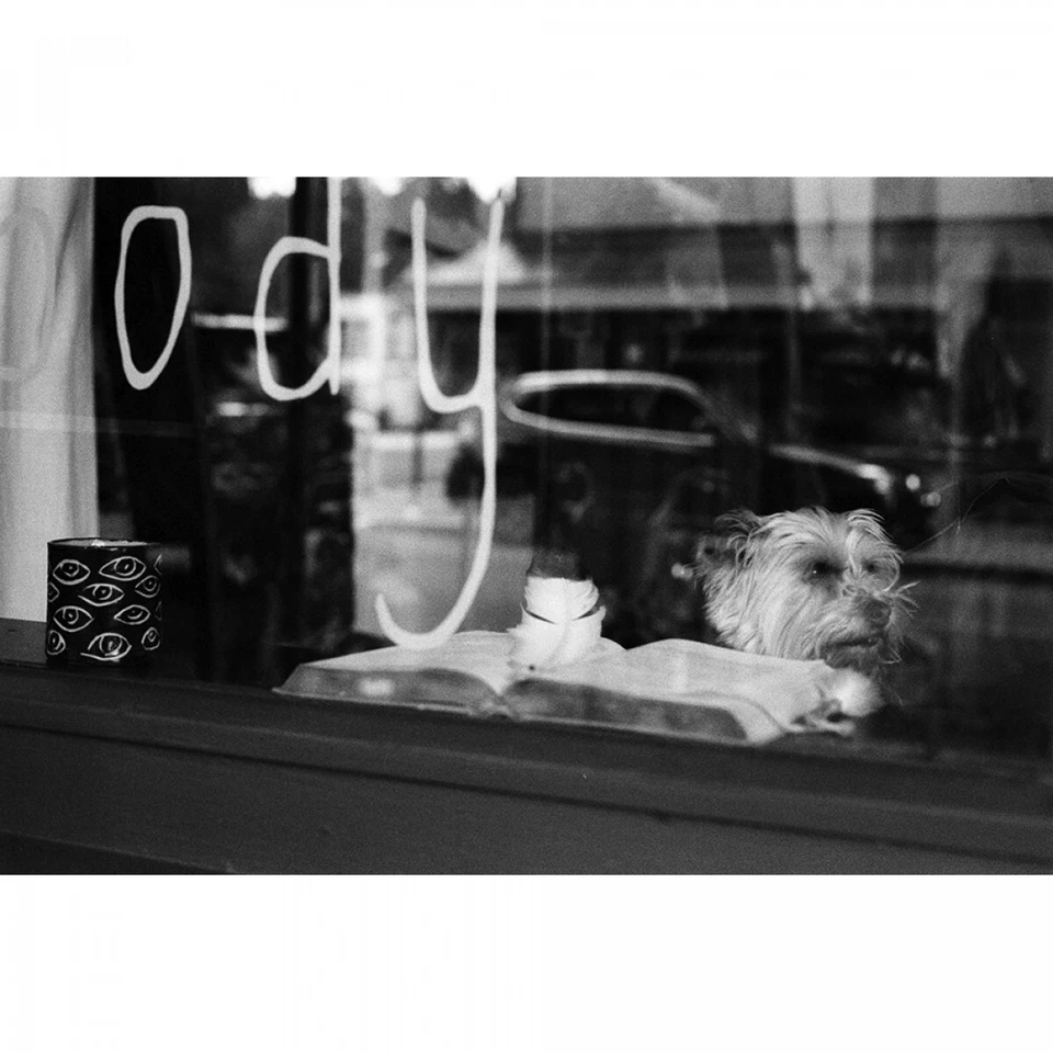 Película en blanco y negro Fomapan Action 400 ISO 35 mm 36 Exp *RECIÉN FECHADA* Foto 2 de 4