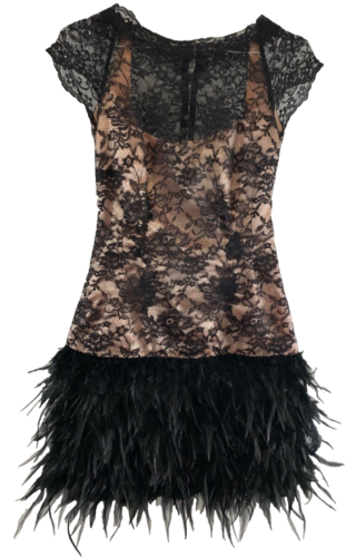 MOULIN ROUGE DRESS 6 BLACK PINK LACE Feathers Satin Sexy Costume Mini Corset - Afbeelding 1 van 11