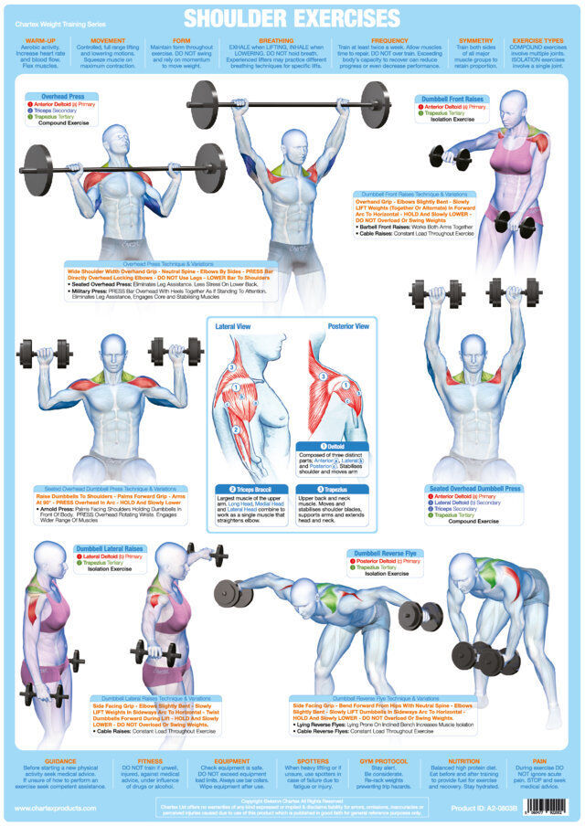 Wings Workout Chart