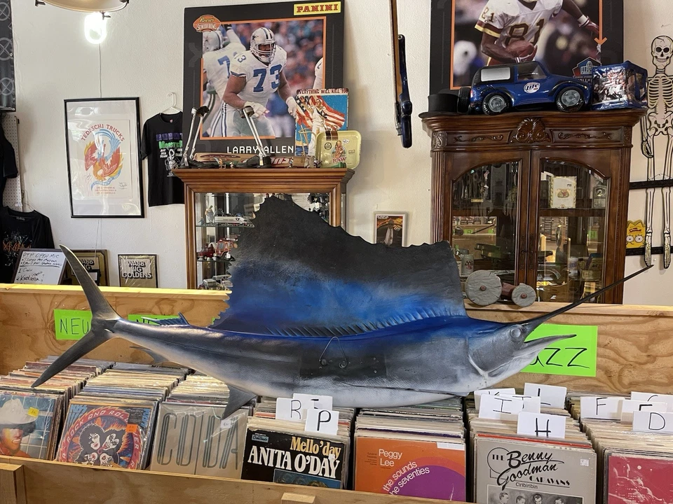 Sailfish - Taxidermy Wall Mount  7.5 feet. Stunning! - Image 2 of 4