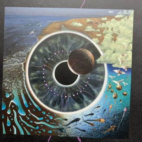 PINK FLOYD - Pulse, 4 × Vinyl, Reissue LP 2018 Box Set ( Pink Floyd Records )