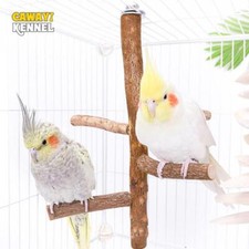 Natural Wood Bird Branch Stand Perches Pet Parakeet Budgie Hanging Play Toy Bird