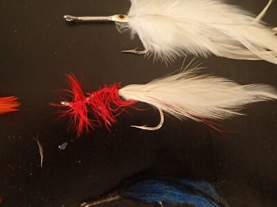 Pêche à la mouche en Camargue - pêche à la mouche