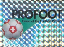 002 PROFOOT # SWITZERLAND UNION FOOTBALL PLAYER METAL STICKER PANINI FOOTBALL 95