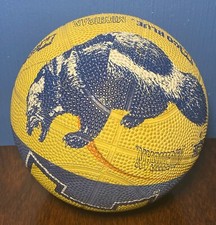 VINTAGE University Michigan Wolverine Mascot Mini Basketball - NCAA Mini Ball 8”