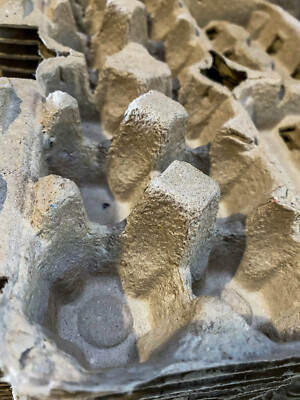 Contenitori Portauova In Cartone Da 4 Uova - 51 Pezzi Riciclabili | Ideali Per Produttori E Regali - Foto 11