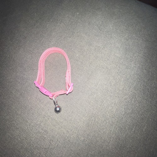 Whiskers City Breakaway Collar - Picture 2 of 2